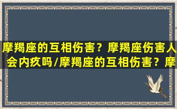 摩羯座的互相伤害？摩羯座伤害人会内疚吗/摩羯座的互相伤害？摩羯座伤害人会内疚吗-我的网站