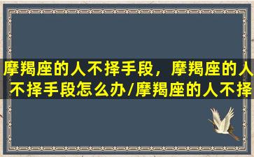 摩羯座的人不择手段，摩羯座的人不择手段怎么办/摩羯座的人不择手段，摩羯座的人不择手段怎么办-我的网站