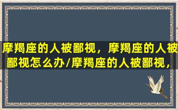 摩羯座的人被鄙视，摩羯座的人被鄙视怎么办/摩羯座的人被鄙视，摩羯座的人被鄙视怎么办-我的网站