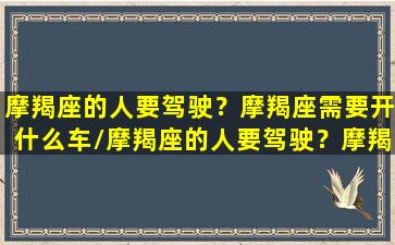 摩羯座的人要驾驶？摩羯座需要开什么车/摩羯座的人要驾驶？摩羯座需要开什么车-我的网站