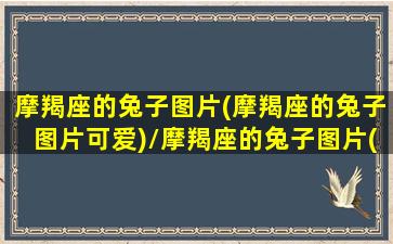 摩羯座的兔子图片(摩羯座的兔子图片可爱)/摩羯座的兔子图片(摩羯座的兔子图片可爱)-我的网站