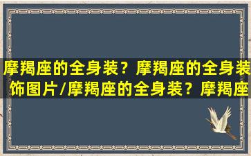 摩羯座的全身装？摩羯座的全身装饰图片/摩羯座的全身装？摩羯座的全身装饰图片-我的网站