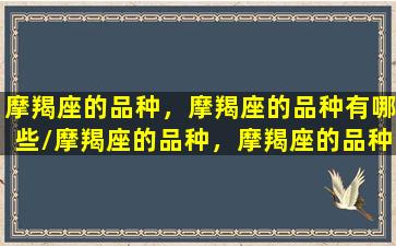 摩羯座的品种，摩羯座的品种有哪些/摩羯座的品种，摩羯座的品种有哪些-我的网站