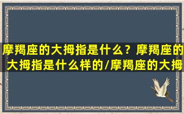 摩羯座的大拇指是什么？摩羯座的大拇指是什么样的/摩羯座的大拇指是什么？摩羯座的大拇指是什么样的-我的网站