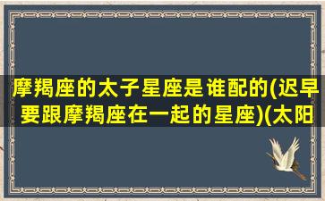 摩羯座的太子星座是谁配的(迟早要跟摩羯座在一起的星座)(太阳摩羯座男生)