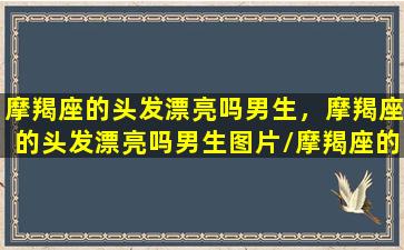 摩羯座的头发漂亮吗男生，摩羯座的头发漂亮吗男生图片/摩羯座的头发漂亮吗男生，摩羯座的头发漂亮吗男生图片-我的网站