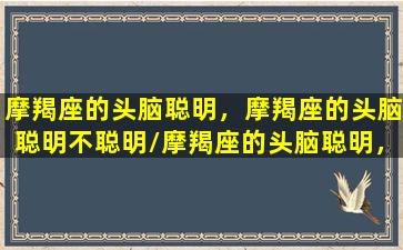 摩羯座的头脑聪明，摩羯座的头脑聪明不聪明/摩羯座的头脑聪明，摩羯座的头脑聪明不聪明-我的网站