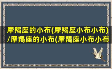 摩羯座的小布(摩羯座小布小布)/摩羯座的小布(摩羯座小布小布)-我的网站