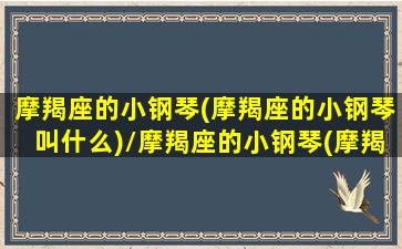 摩羯座的小钢琴(摩羯座的小钢琴叫什么)/摩羯座的小钢琴(摩羯座的小钢琴叫什么)-我的网站