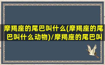 摩羯座的尾巴叫什么(摩羯座的尾巴叫什么动物)/摩羯座的尾巴叫什么(摩羯座的尾巴叫什么动物)-我的网站