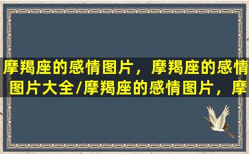 摩羯座的感情图片，摩羯座的感情图片大全/摩羯座的感情图片，摩羯座的感情图片大全-我的网站