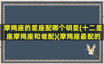 摩羯座的星座配哪个明星(十二星座摩羯座和谁配)(摩羯座最配的星座)