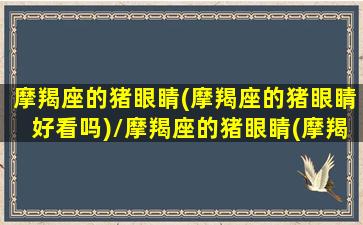 摩羯座的猪眼睛(摩羯座的猪眼睛好看吗)/摩羯座的猪眼睛(摩羯座的猪眼睛好看吗)-我的网站