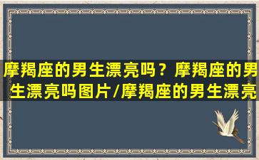 摩羯座的男生漂亮吗？摩羯座的男生漂亮吗图片/摩羯座的男生漂亮吗？摩羯座的男生漂亮吗图片-我的网站