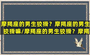 摩羯座的男生狡猾？摩羯座的男生狡猾嘛/摩羯座的男生狡猾？摩羯座的男生狡猾嘛-我的网站