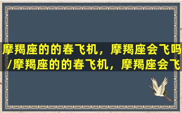 摩羯座的的春飞机，摩羯座会飞吗/摩羯座的的春飞机，摩羯座会飞吗-我的网站