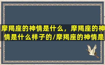 摩羯座的神情是什么，摩羯座的神情是什么样子的/摩羯座的神情是什么，摩羯座的神情是什么样子的-我的网站