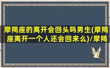 摩羯座的离开会回头吗男生(摩羯座离开一个人还会回来么)/摩羯座的离开会回头吗男生(摩羯座离开一个人还会回来么)-我的网站