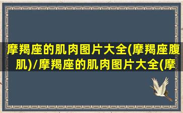 摩羯座的肌肉图片大全(摩羯座腹肌)/摩羯座的肌肉图片大全(摩羯座腹肌)-我的网站