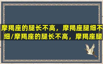 摩羯座的腿长不高，摩羯座腿细不细/摩羯座的腿长不高，摩羯座腿细不细-我的网站