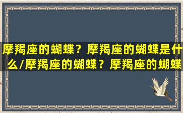 摩羯座的蝴蝶？摩羯座的蝴蝶是什么/摩羯座的蝴蝶？摩羯座的蝴蝶是什么-我的网站