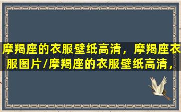 摩羯座的衣服壁纸高清，摩羯座衣服图片/摩羯座的衣服壁纸高清，摩羯座衣服图片-我的网站