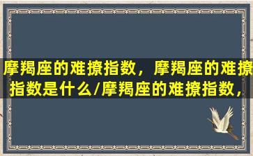 摩羯座的难撩指数，摩羯座的难撩指数是什么/摩羯座的难撩指数，摩羯座的难撩指数是什么-我的网站