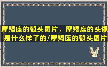 摩羯座的额头图片，摩羯座的头像是什么样子的/摩羯座的额头图片，摩羯座的头像是什么样子的-我的网站