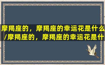 摩羯座的，摩羯座的幸运花是什么/摩羯座的，摩羯座的幸运花是什么-我的网站