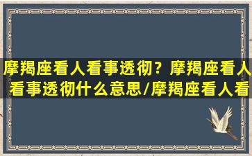 摩羯座看人看事透彻？摩羯座看人看事透彻什么意思/摩羯座看人看事透彻？摩羯座看人看事透彻什么意思-我的网站