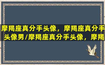 摩羯座真分手头像，摩羯座真分手头像男/摩羯座真分手头像，摩羯座真分手头像男-我的网站