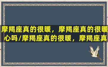 摩羯座真的很暖，摩羯座真的很暖心吗/摩羯座真的很暖，摩羯座真的很暖心吗-我的网站