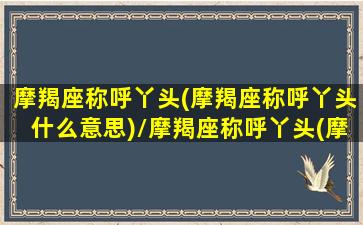 摩羯座称呼丫头(摩羯座称呼丫头什么意思)/摩羯座称呼丫头(摩羯座称呼丫头什么意思)-我的网站