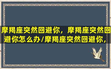 摩羯座突然回避你，摩羯座突然回避你怎么办/摩羯座突然回避你，摩羯座突然回避你怎么办-我的网站