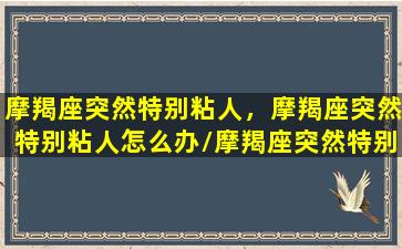 摩羯座突然特别粘人，摩羯座突然特别粘人怎么办/摩羯座突然特别粘人，摩羯座突然特别粘人怎么办-我的网站