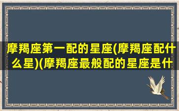 摩羯座第一配的星座(摩羯座配什么星)(摩羯座最般配的星座是什么星座)