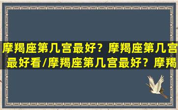 摩羯座第几宫最好？摩羯座第几宫最好看/摩羯座第几宫最好？摩羯座第几宫最好看-我的网站