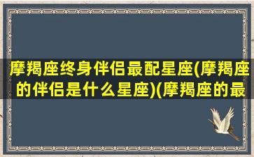 摩羯座终身伴侣最配星座(摩羯座的伴侣是什么星座)(摩羯座的最佳性伴侣是什么星座)