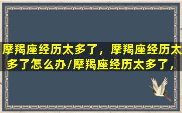 摩羯座经历太多了，摩羯座经历太多了怎么办/摩羯座经历太多了，摩羯座经历太多了怎么办-我的网站