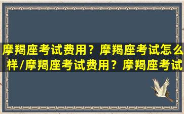 摩羯座考试费用？摩羯座考试怎么样/摩羯座考试费用？摩羯座考试怎么样-我的网站