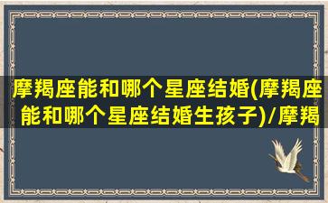 摩羯座能和哪个星座结婚(摩羯座能和哪个星座结婚生孩子)/摩羯座能和哪个星座结婚(摩羯座能和哪个星座结婚生孩子)-我的网站