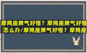 摩羯座脾气好怪？摩羯座脾气好怪怎么办/摩羯座脾气好怪？摩羯座脾气好怪怎么办-我的网站