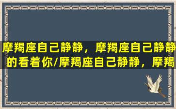 摩羯座自己静静，摩羯座自己静静的看着你/摩羯座自己静静，摩羯座自己静静的看着你-我的网站