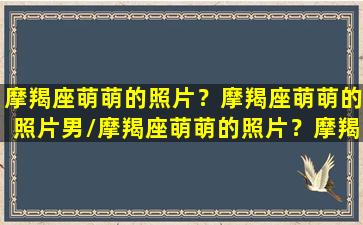 摩羯座萌萌的照片？摩羯座萌萌的照片男/摩羯座萌萌的照片？摩羯座萌萌的照片男-我的网站