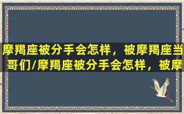 摩羯座被分手会怎样，被摩羯座当哥们/摩羯座被分手会怎样，被摩羯座当哥们-我的网站