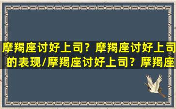 摩羯座讨好上司？摩羯座讨好上司的表现/摩羯座讨好上司？摩羯座讨好上司的表现-我的网站