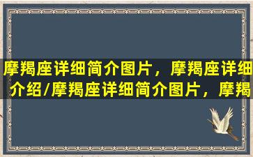 摩羯座详细简介图片，摩羯座详细介绍/摩羯座详细简介图片，摩羯座详细介绍-我的网站