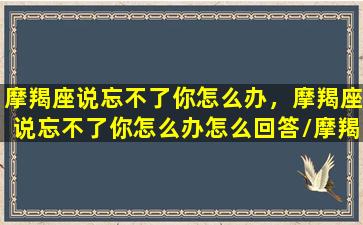 摩羯座说忘不了你怎么办，摩羯座说忘不了你怎么办怎么回答/摩羯座说忘不了你怎么办，摩羯座说忘不了你怎么办怎么回答-我的网站