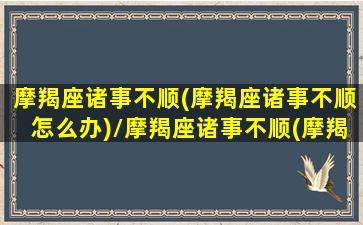 摩羯座诸事不顺(摩羯座诸事不顺怎么办)/摩羯座诸事不顺(摩羯座诸事不顺怎么办)-我的网站