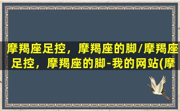 摩羯座足控，摩羯座的脚/摩羯座足控，摩羯座的脚-我的网站(摩羯座掌控身体哪个部位)